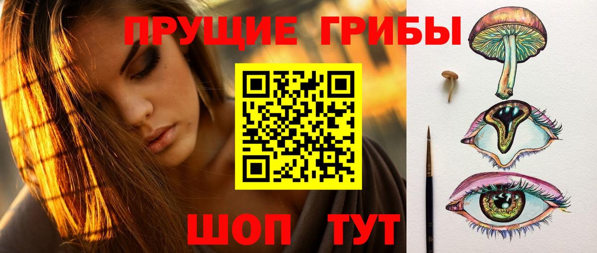 Славянск-на-Кубани  Псилоцибиновые грибы Magic Shrooms  Вход с VPN  Галлюциногенные грибы Psilocybe 