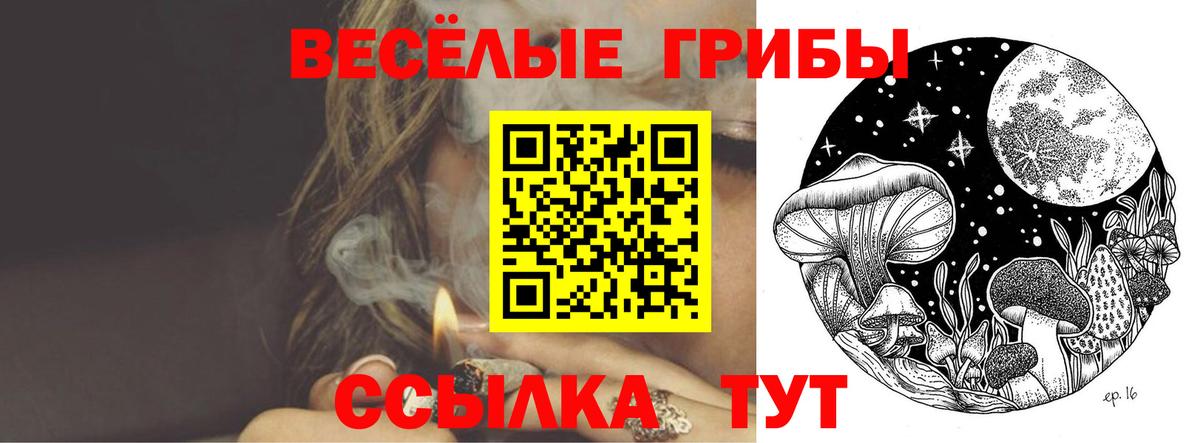 Галлюциногенные грибы Cubensis Славянск-на-Кубани